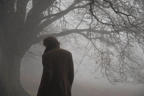 a man standing in front of a tree on a foggy day