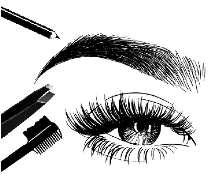 Eyelash Illustration, Lash Designer, Guys Eyebrows, Lash Lifting, Nail Logo, Beauty Room Design, Eyebrow Enhancer, Lashes Logo, Eyebrow Stencil