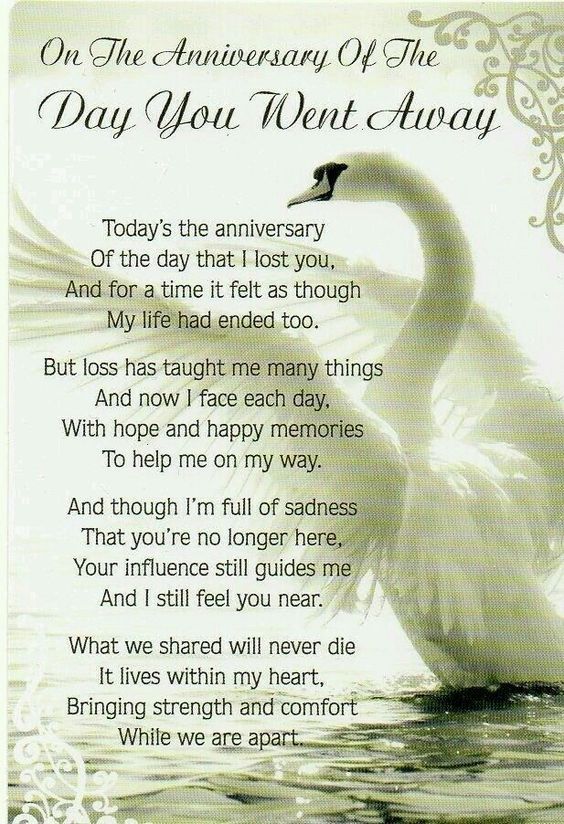 an anniversary poem with a swan in the water