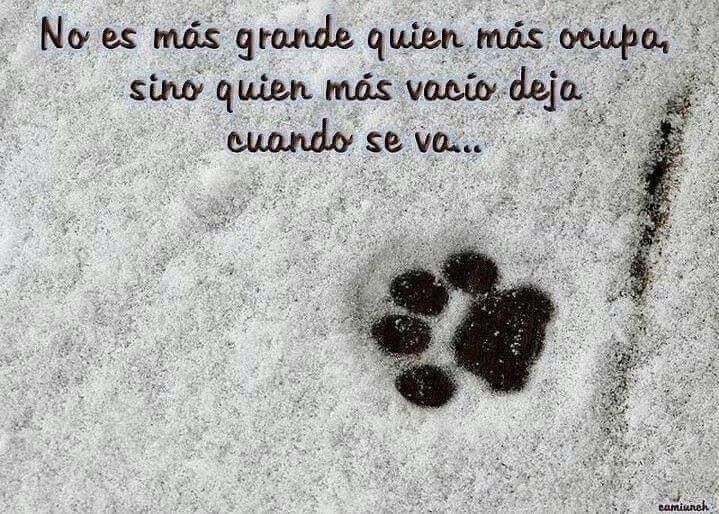 footprints in the snow with a poem written on it that says, no es mas grande que quien miss coupa