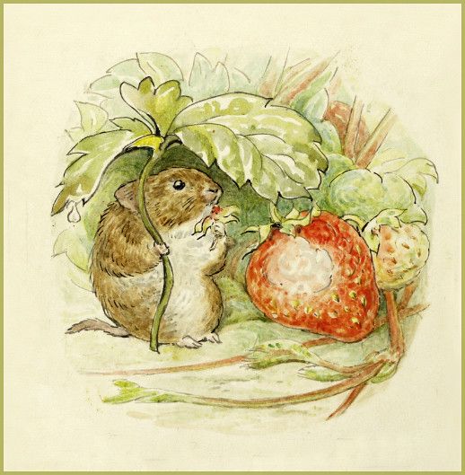 a drawing of a mouse sitting next to a strawberries and strawberry on a table