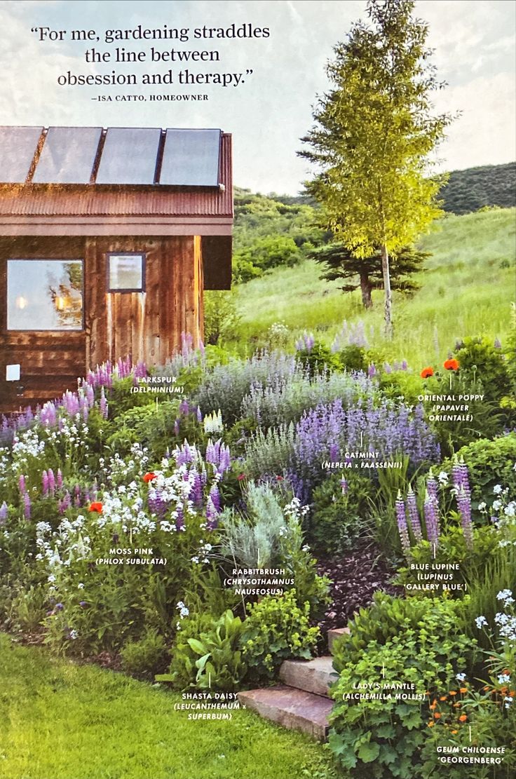 a magazine cover with an image of a small cabin in the middle of a field