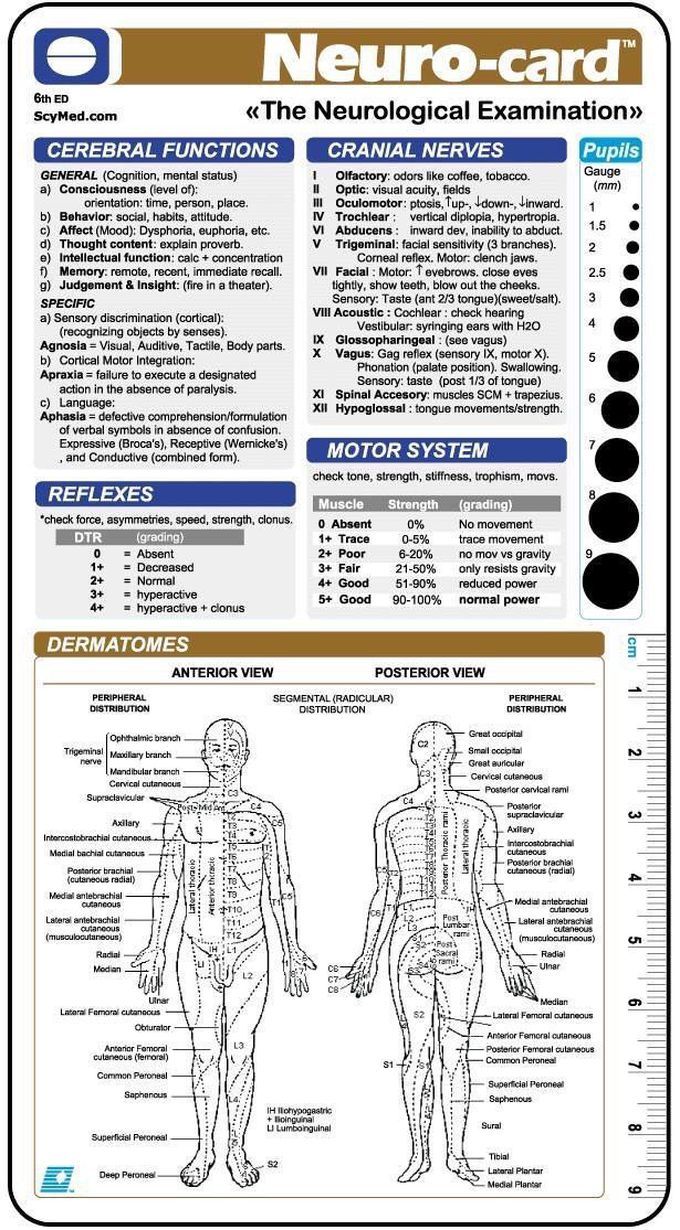 the nervous system and its functions are shown in this poster, which includes information on how to