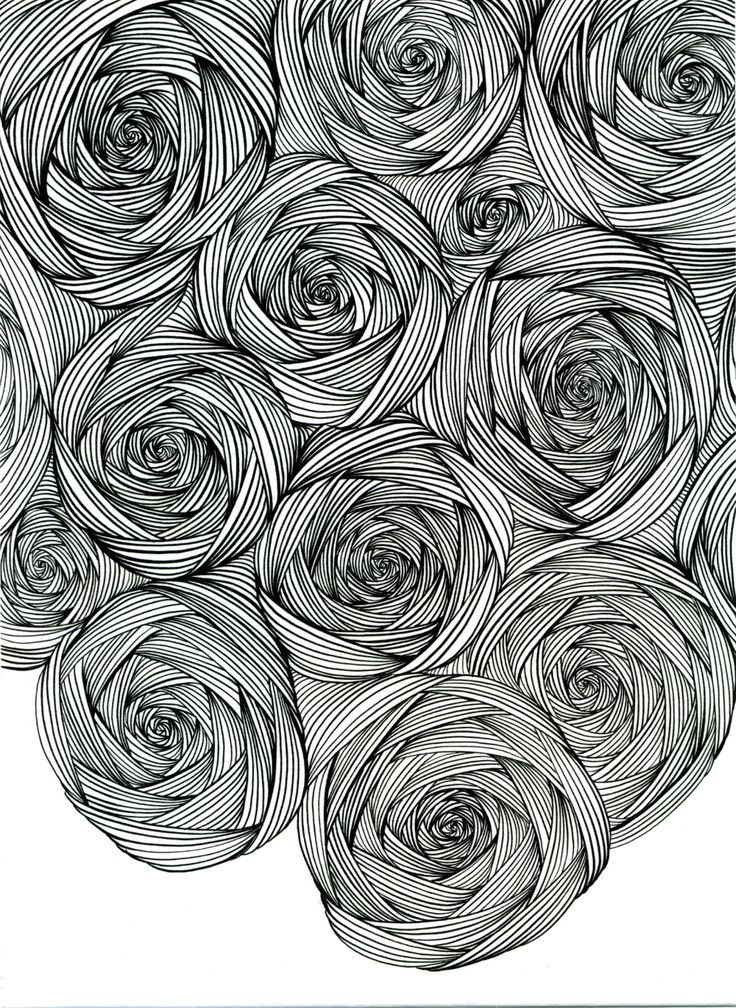 a bunch of flowers that are in the shape of spirals on a white background