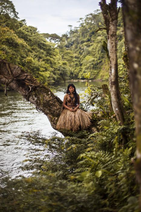 a woman sitting on top of a tree branch in the middle of a river surrounded by trees