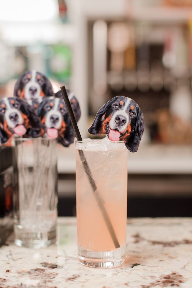 a dog head sticking out of the side of a glass filled with ice and liquid