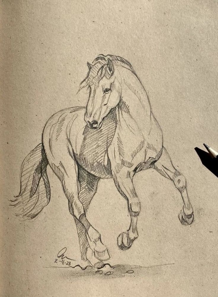 a pencil drawing of a horse running on the ground with it's front legs spread out