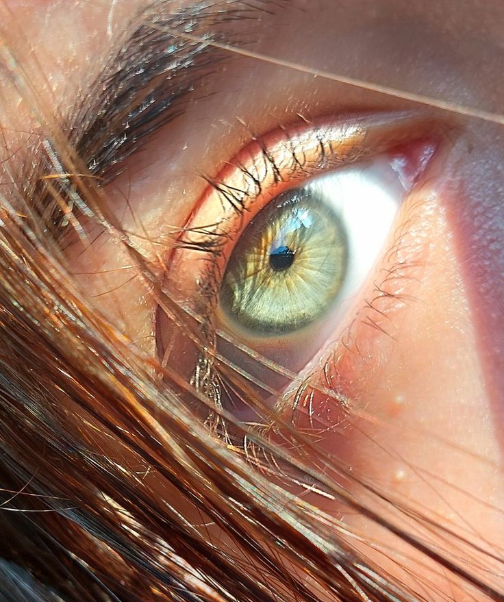 a close up view of an eye with long brown hair on the outside of it