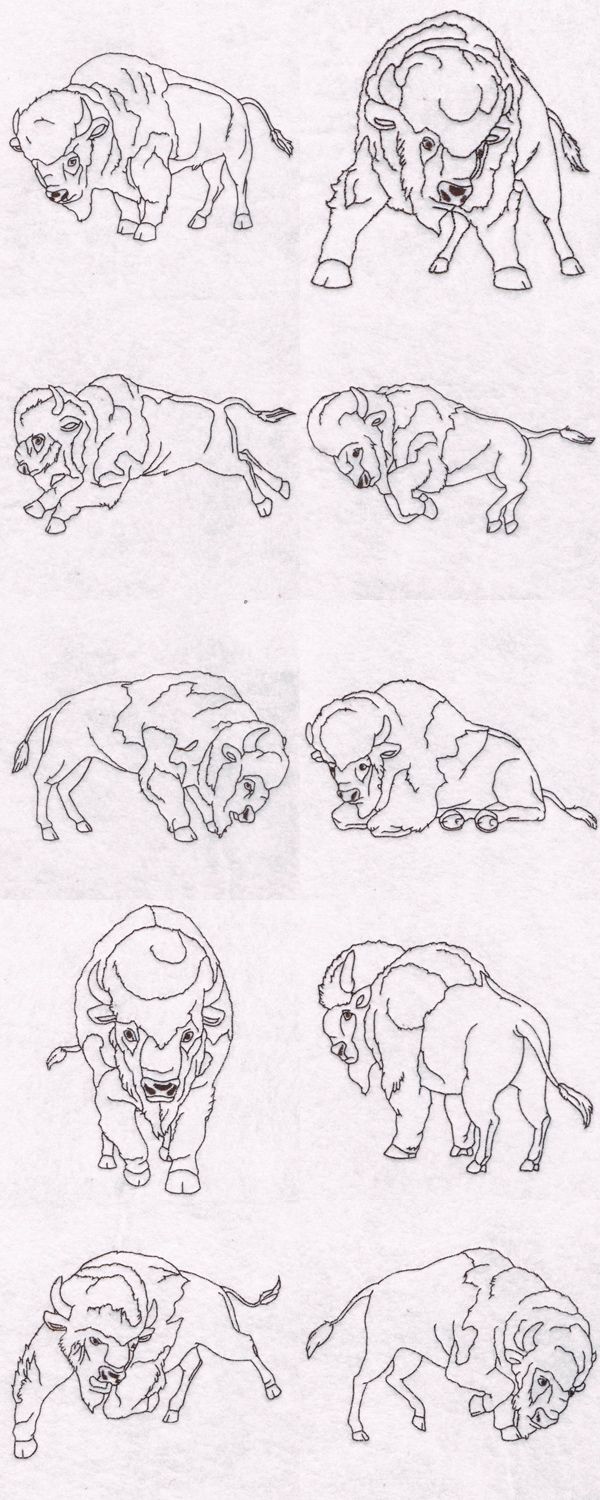 some animals that are in different positions and sizes, all drawn by hand on paper