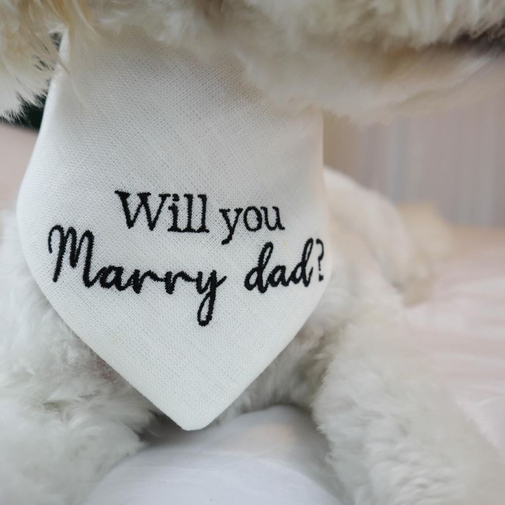 a white teddy bear wearing a neck tie that says will you marry dad?