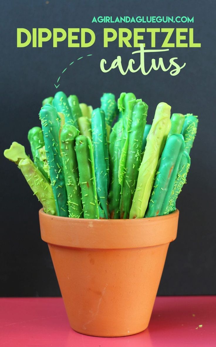 a potted plant with green leaves on it and the words dipped pretzel cactus