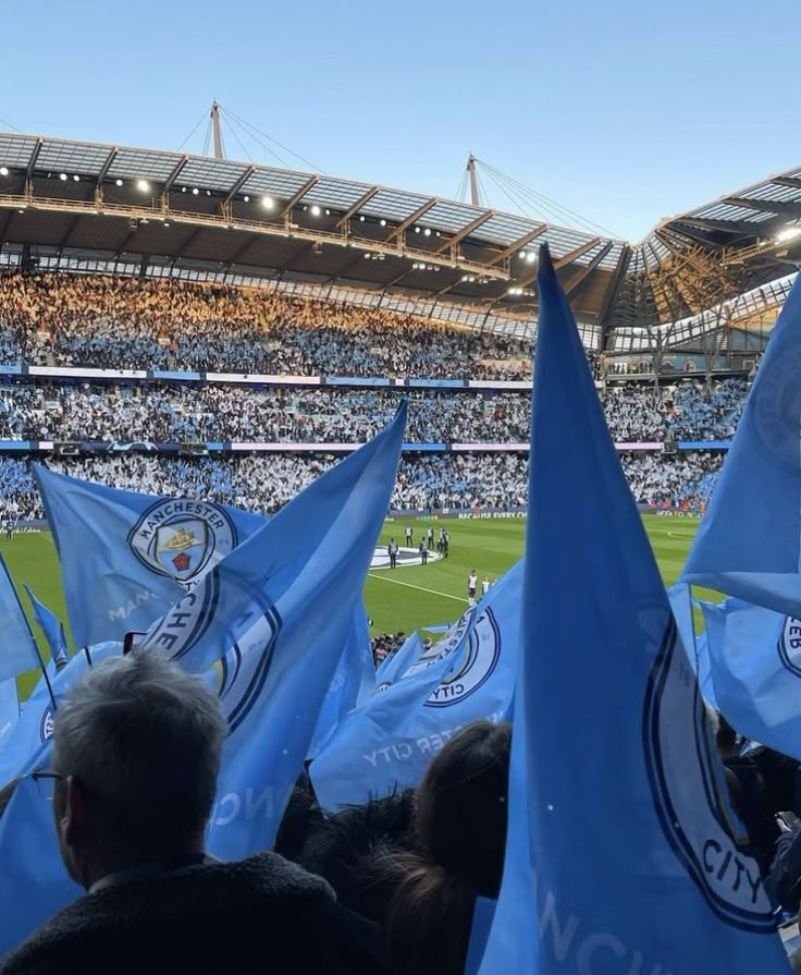 many blue flags are in the stands at a soccer game