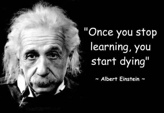 albert einstein quote on stop learning