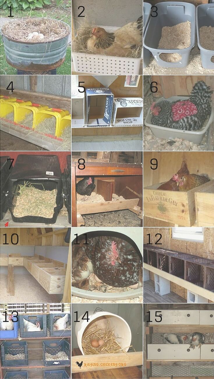 several pictures of different types of birds in their cages and cages with numbers on them