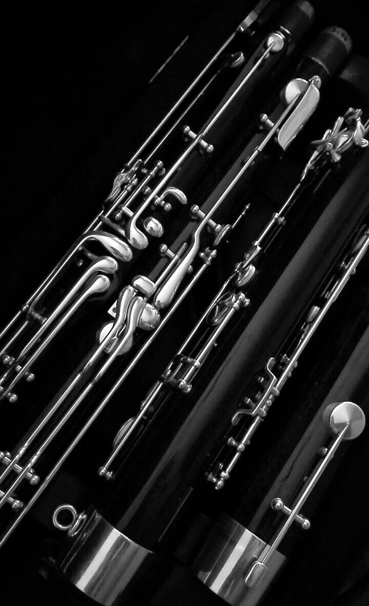 an assortment of musical instruments lined up against a black background