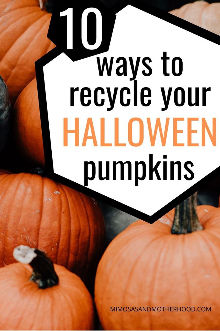 pumpkins with text overlay that reads 10 ways to recycle your halloween pumpkins