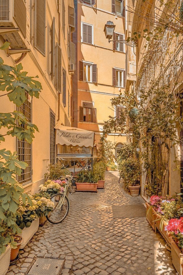 an alleyway with potted plants and flowers on the sidewalk in front of buildings