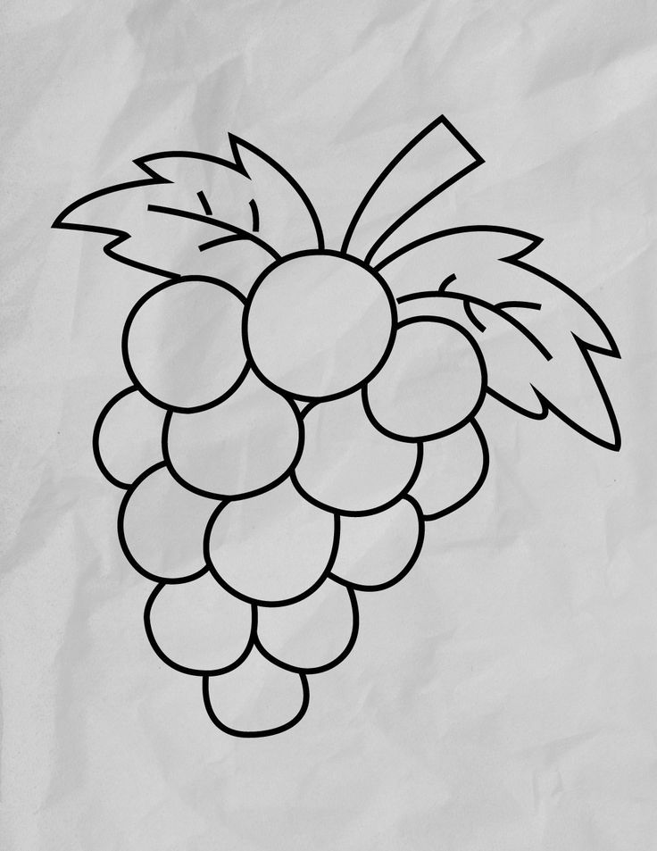 a drawing of a bunch of grapes sitting on top of a piece of white paper