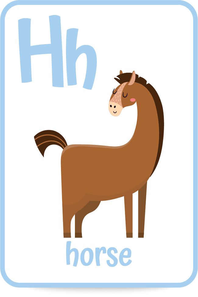 the letter h is for horse