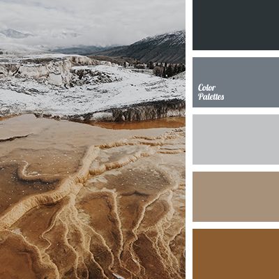 the color palette is brown, gray and white with an interesting pattern on it's surface