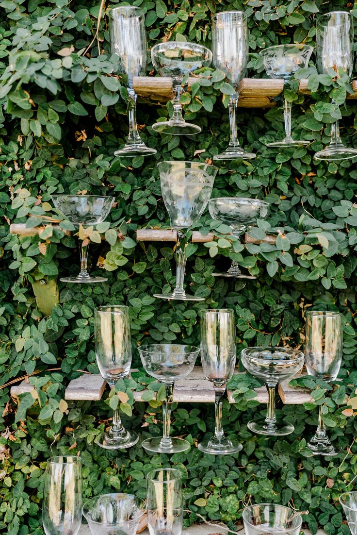 many wine glasses are lined up in front of a wall covered with green plants and greenery