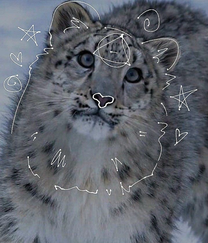 a snow leopard is shown in this artistic photo with white lines on it's face