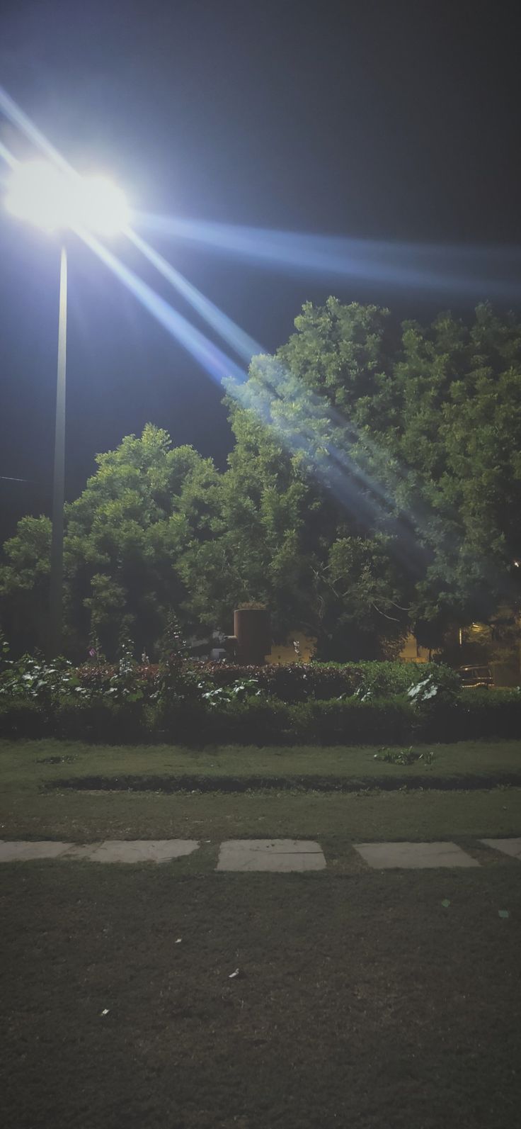 the street light shines brightly in the dark night sky above some trees and bushes