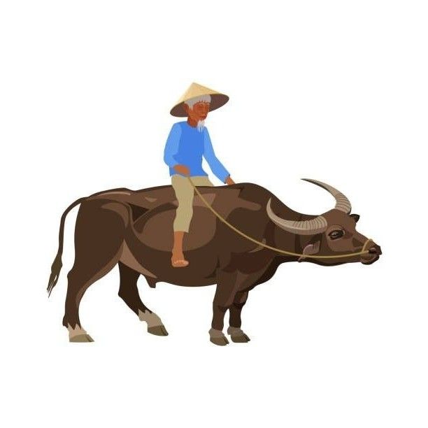 a man riding on the back of a bull with a rope around it's neck