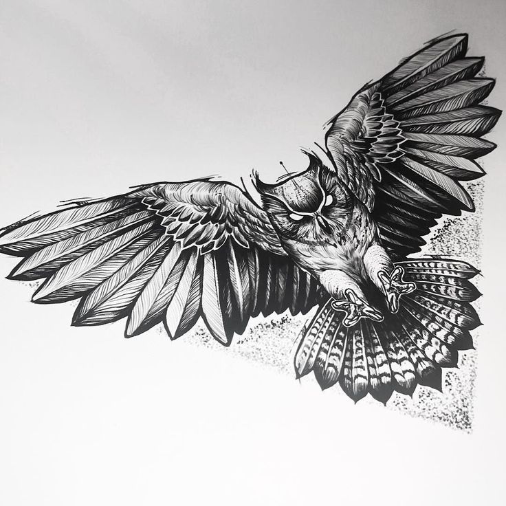 a black and white drawing of a bird flying in the air with its wings spread