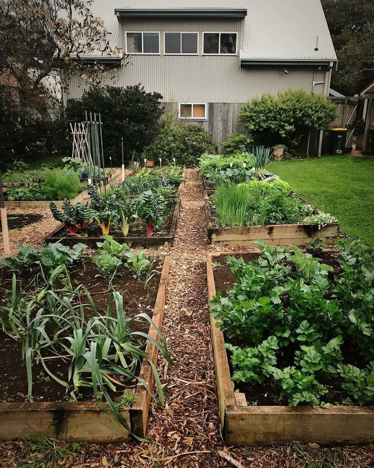 a garden filled with lots of different types of vegetables