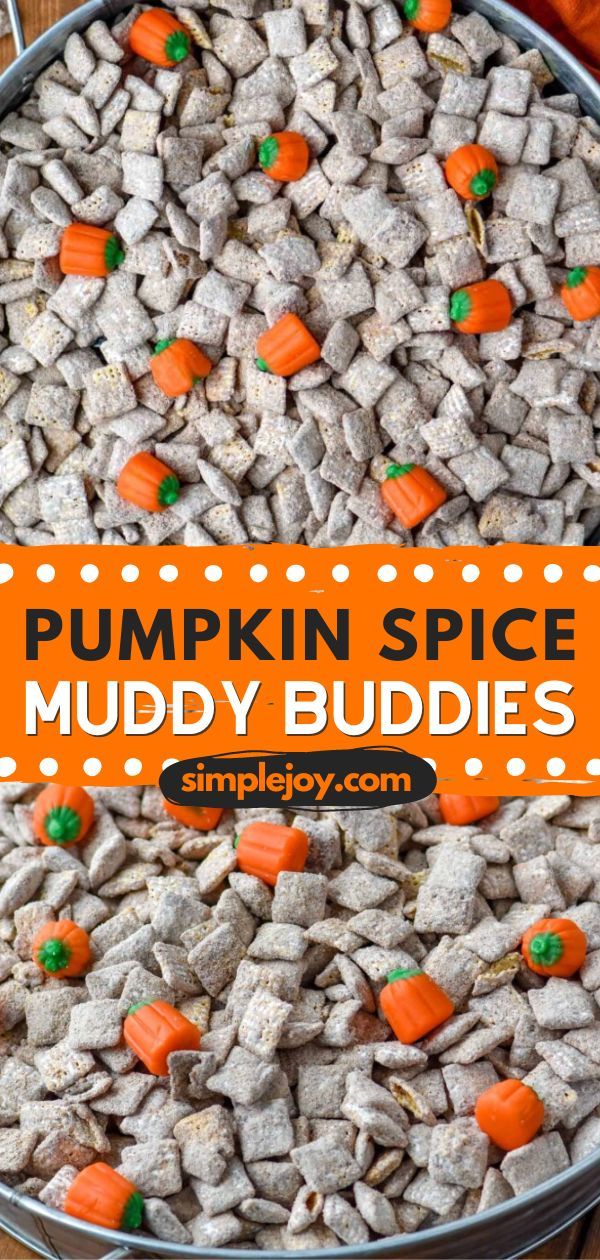 Serve only the best Thanksgiving sweet treat with these Chex pumpkin spice muddy buddies! Learn how to make muddy buddies and enjoy the perfect fall spin on Puppy Chow. Be sure to save this pin for a fun treat for later! Peanut Butter White Chocolate, Muddy Buddies Recipe, White Chocolate Covered, Fall Fun Food, Puppy Chow Recipes, Pumpkin Recipes Easy, Easy Autumn Recipes, Muddy Buddies, Pumpkin Chocolate Chip