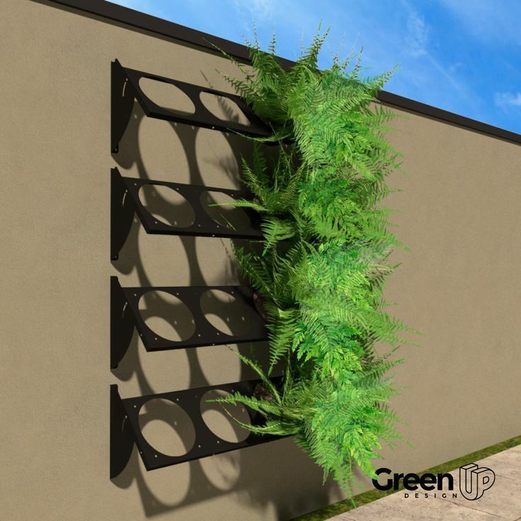 a green plant is growing out of a metal rack on the side of a building