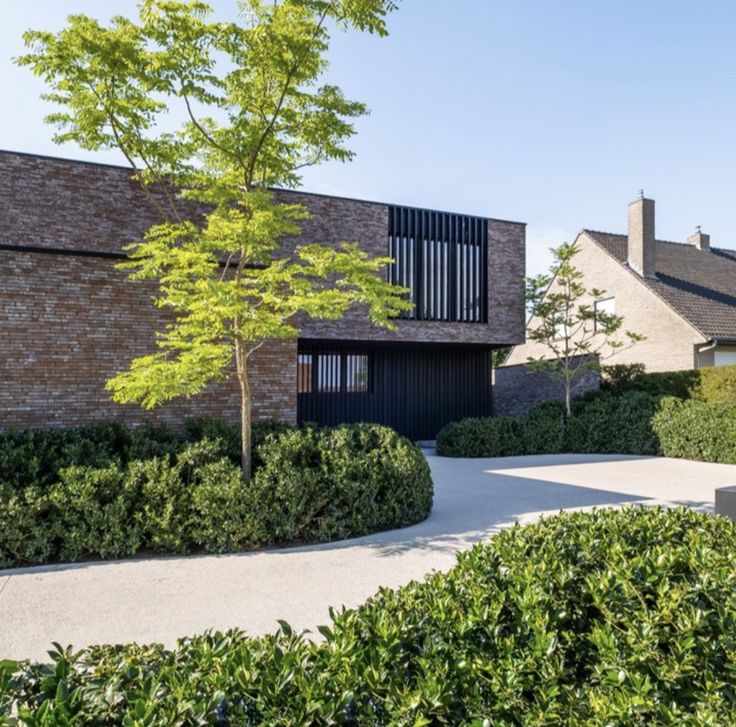 the house is surrounded by hedges and trees