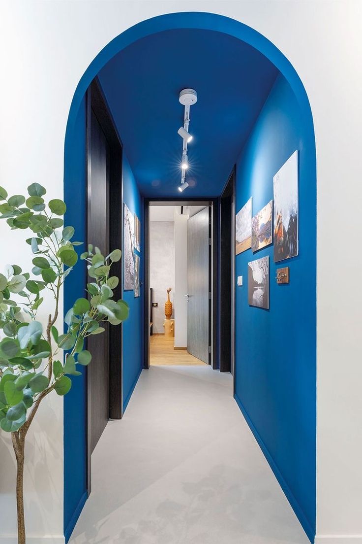 a blue archway leading to a hallway with pictures on the wall and a potted plant