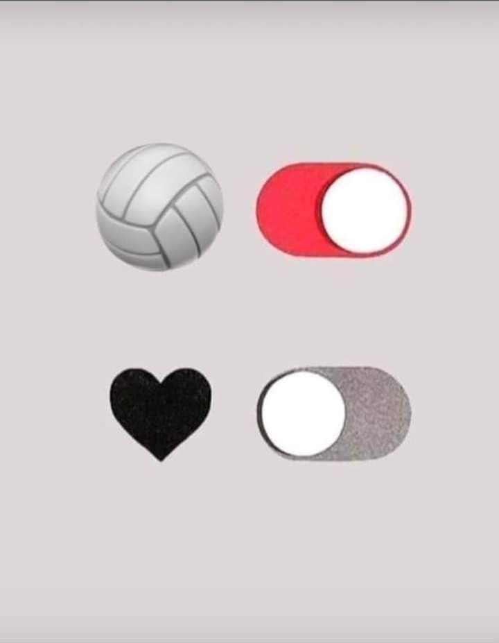 four different types of volleyball balls on a gray background with black and white circles around them