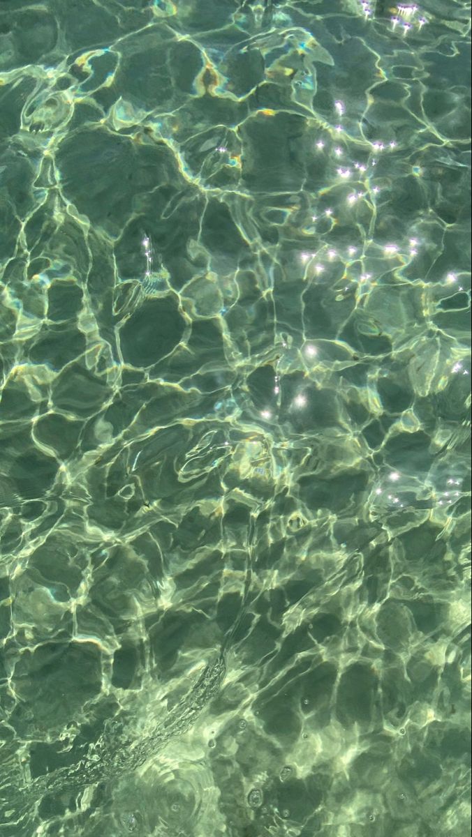 the water is so clear that you can see it's ripples and bubbles