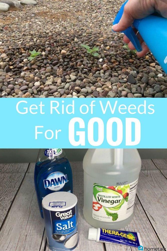 a hand is holding a blue bottle and some other items on the ground with text overlay that reads get rid of weeds for good