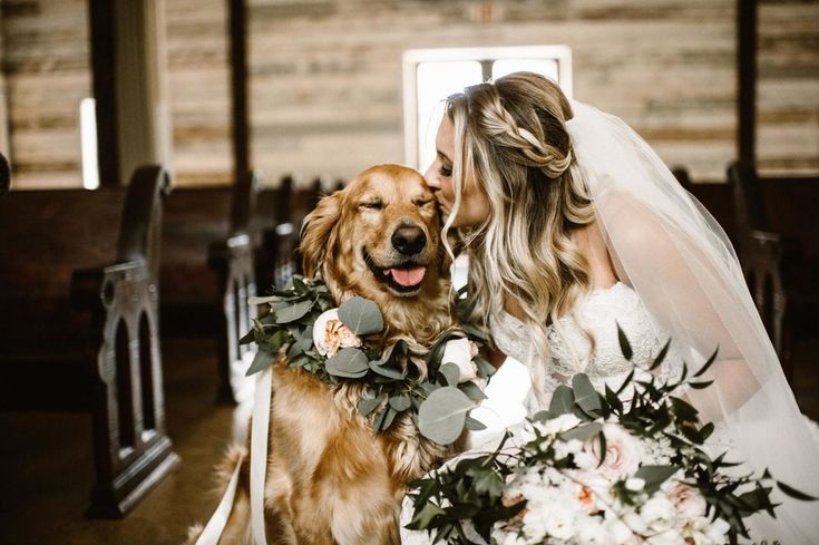 a bride kissing her dog on the forehead with greenery around it's neck