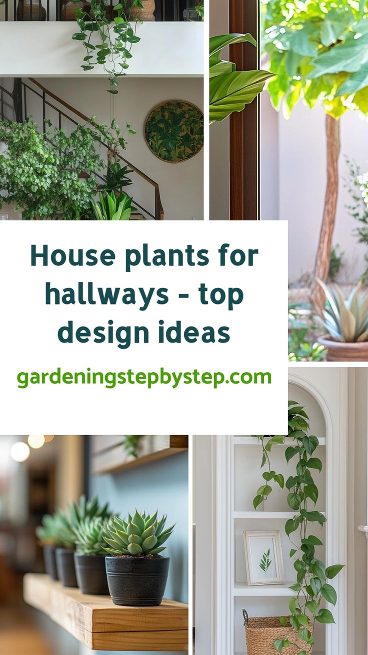 House plants for hallways, featuring design ideas with various green plants in stylish indoor settings. Entryway Plants Indoor, Aesthetic House Interiors, House Plants Decor Ideas, Best House Plants, Hallway Design Ideas, House Plant Decor, Large Entryway, Space House, Bird Of Paradise Plant