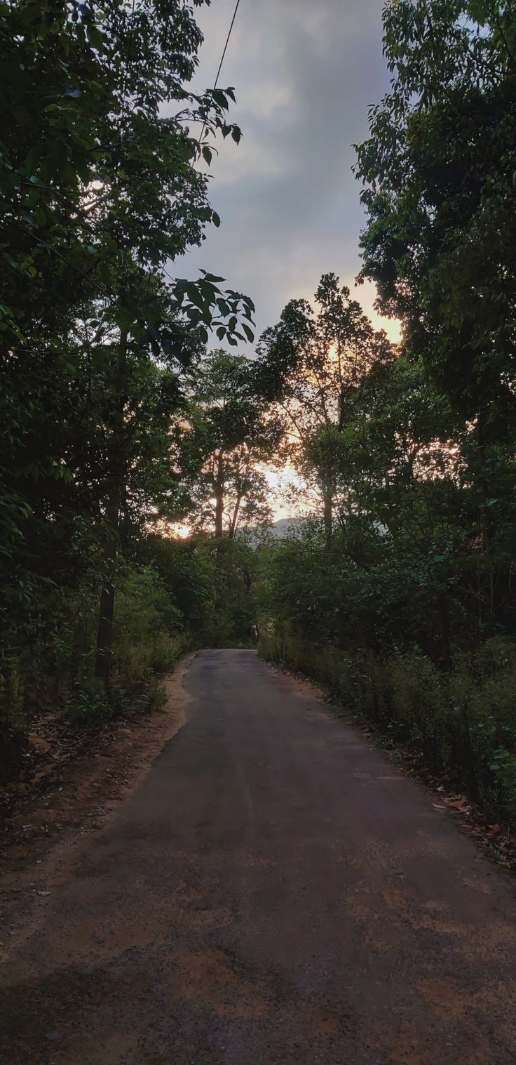 an empty road surrounded by trees and bushes