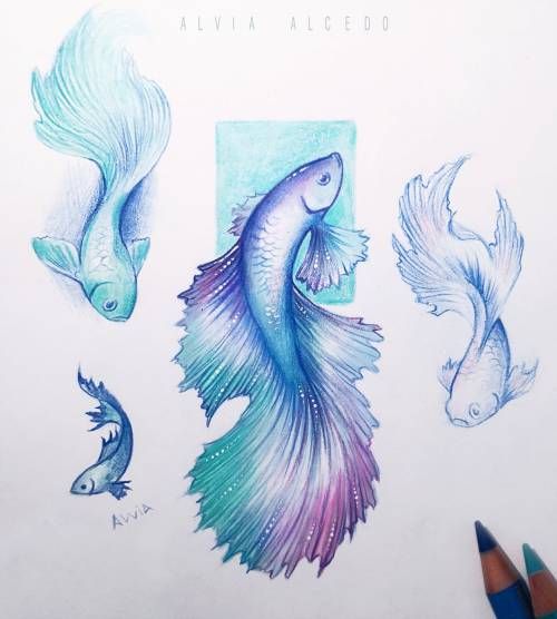 three different colored fish are shown in this drawing