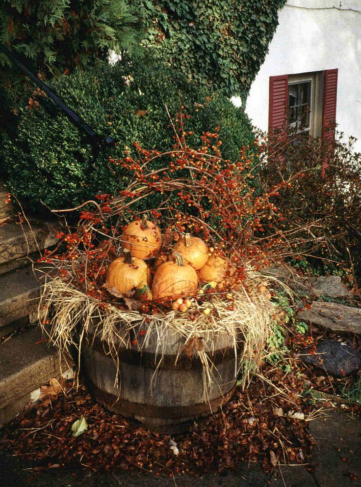 some pumpkins are sitting in a barrel on the side of a building with bushes