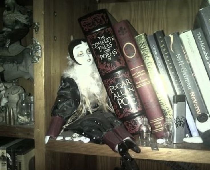 a shelf with books and dolls on it