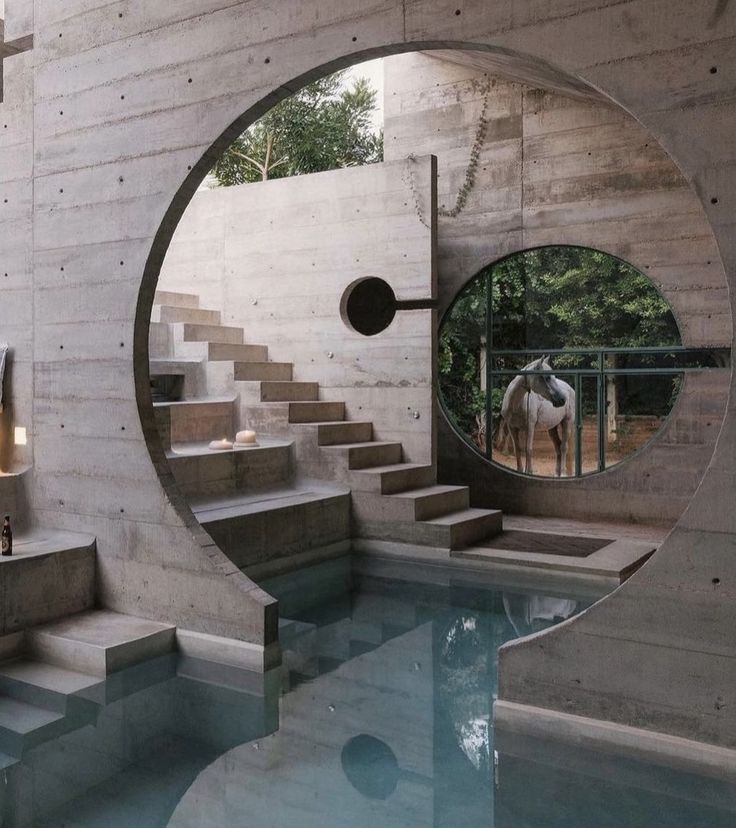 a horse is standing in the reflection of a circular mirror on a wall next to some stairs