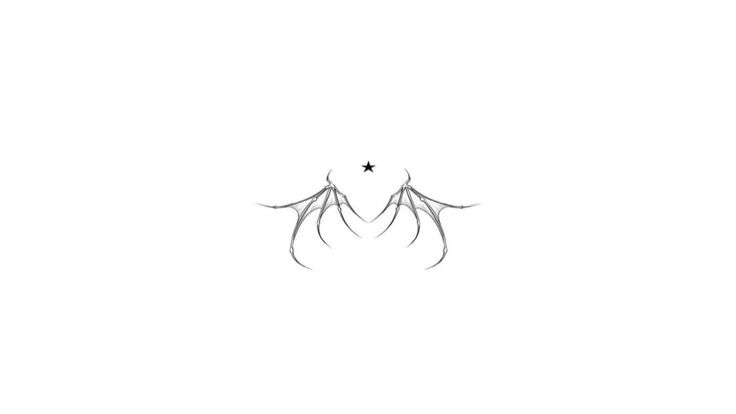 an image of two spider webs on a white background that is drawn in black ink