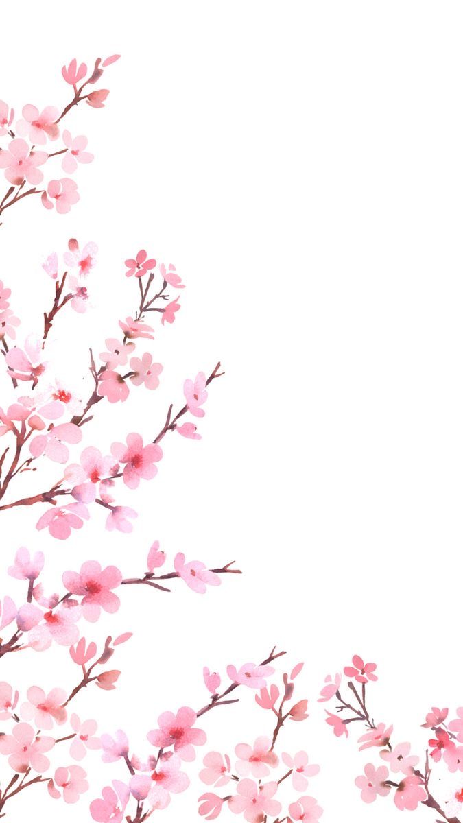 pink flowers are blooming on a white background