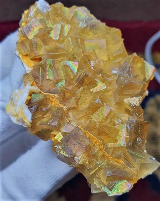 Crystal Seashells, Yellow Fluorite, Cubism, Yellow Color, Sea Shells, Tik Tok, Chloe, Crystals, Stone