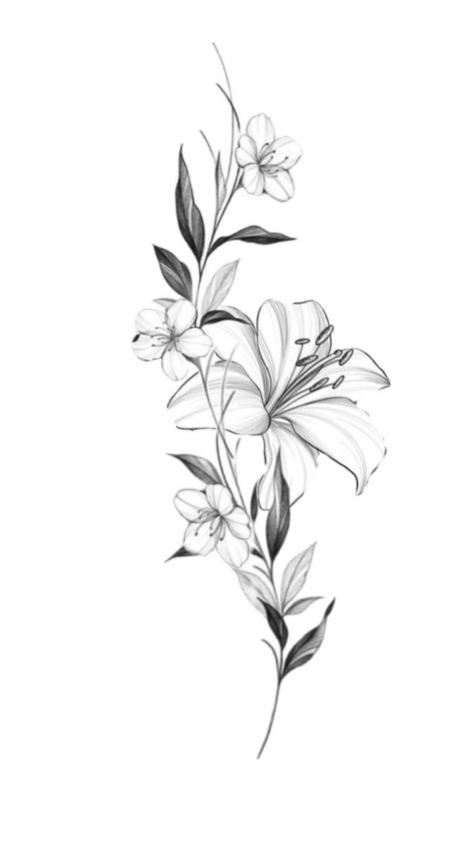 black and white drawing of flowers on a white background