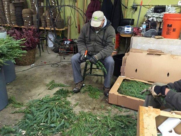 two men working in a garden shop with lots of plants and boxes on the floor