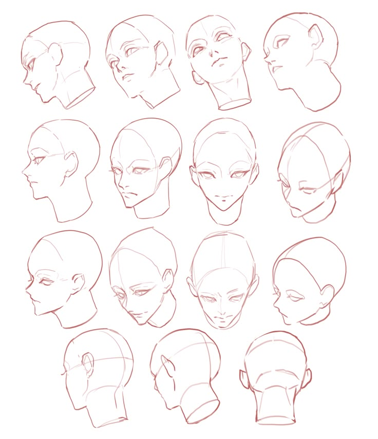 the head and shoulders of an adult male with different facial expressions, from front to back